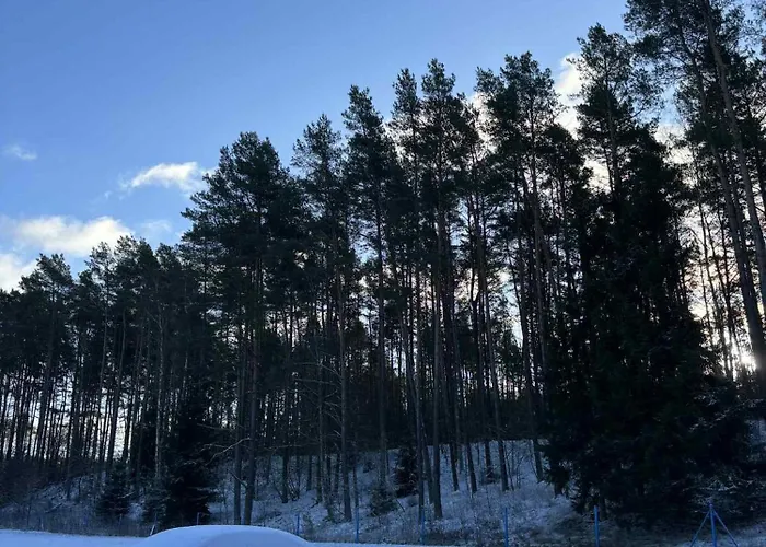 Gosciniec Nad Dobrzyca *